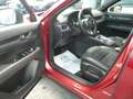 Mazda CX-5 CX-5 2.0 Homura s/bsm 2wd 165cv auto Rosso - thumbnail 9