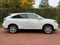 Lexus RX 450h 4WD Dakraam Garantie Alb - thumbnail 11