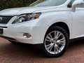 Lexus RX 450h 4WD Dakraam Garantie Alb - thumbnail 5