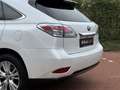 Lexus RX 450h 4WD Dakraam Garantie Alb - thumbnail 10