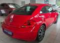 Volkswagen Beetle The Beetle Rot - thumbnail 9