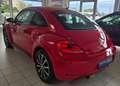 Volkswagen Beetle The Beetle Rot - thumbnail 7
