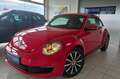 Volkswagen Beetle The Beetle Rot - thumbnail 1