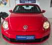 Volkswagen Beetle The Beetle Rot - thumbnail 5