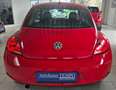 Volkswagen Beetle The Beetle Rot - thumbnail 8