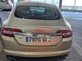 Jaguar XF XF 2.7D V6 Premium Luxury Aut. Premium Luxury Oro - thumbnail 11