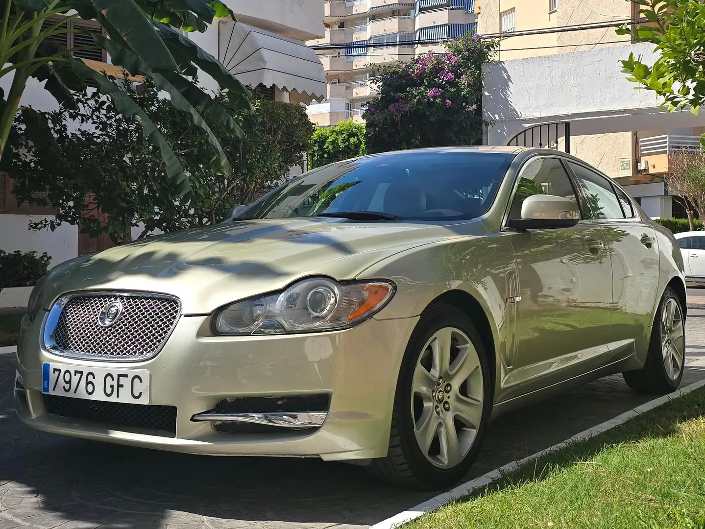 Jaguar XF XF 2.7D V6 Premium Luxury Aut. Premium Luxury Oro - 1