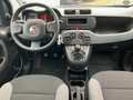 Fiat Panda Cross City Plus Hybrid 1.0 Radio+Bluetooth Schwarz - thumbnail 11