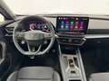 CUPRA Formentor *New Model* 2.0 TDI DSG 150CV Nuova Ufficiale ITA Blu/Azzurro - thumbnail 5