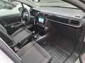 Citroen C3 PureTech 83 CV  Feel - AZIENDALE - MINI RATA Bianco - thumbnail 13