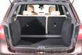 Mercedes-Benz B 220 B 220 CDI d 4Matic Aut. | RFK | Navi Braun - thumbnail 24