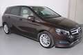 Mercedes-Benz B 220 B 220 CDI d 4Matic Aut. | RFK | Navi Braun - thumbnail 3