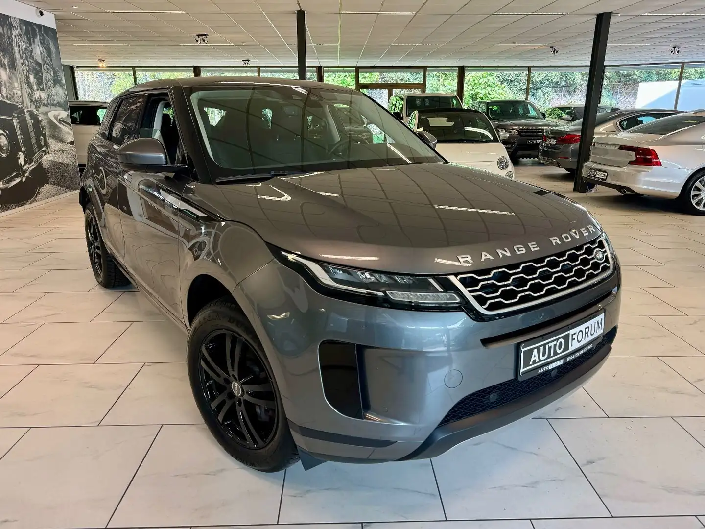 Land Rover Range Rover Evoque P200 AWD AUT LEDER NAVI CAM Gris - 2