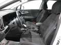 Kia Sportage Sportage 1.6 CRDi MHEV Business Bianco - thumbnail 5