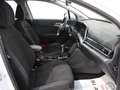 Kia Sportage Sportage 1.6 CRDi MHEV Business Bianco - thumbnail 6