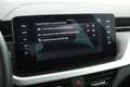 Skoda Kamiq 1.0 TSI 110pk DSG Business Edition Stoelverwarming Grijs - thumbnail 33