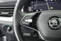 Skoda Kamiq 1.0 TSI 110pk DSG Business Edition Stoelverwarming Grijs - thumbnail 17