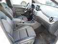 Mercedes-Benz B 180 Automatik  PDC LED  HU 04/2027 Weiß - thumbnail 9