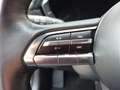 Mazda MX-30 360° Kamera BoseSoundsystem 8-fach Bereift Beige - thumbnail 7