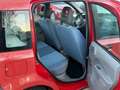 Fiat Panda 1.1 8V Active Klima,Service ,TÜV Neu Červená - thumbnail 14