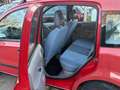 Fiat Panda 1.1 8V Active Klima,Service ,TÜV Neu Červená - thumbnail 13