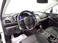 Subaru XV II 2017 - XV 2.0i e-boxer Style Navi lineartronic Bianco - thumbnail 12