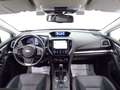 Subaru XV II 2017 - XV 2.0i e-boxer Style Navi lineartronic Bianco - thumbnail 15
