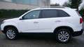 Kia Sorento 4WD Spirit Weiß - thumbnail 5