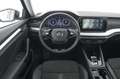 Skoda Octavia 2.0 TDI EVO 150 CV SCR DSG Style Nero - thumbnail 6