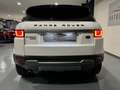 Land Rover Range Rover Evoque 2.0 TD4 150 CV 5p. HSE Dynamic PROMO Blanc - thumbnail 6