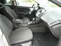 Ford Focus Titanium 2.0 TDCi Autom SHZ Allwetter Silber - thumbnail 20