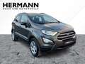 Ford EcoSport 1.0 EcoBoost Cool & Connect LED*SHZ*AUT Grau - thumbnail 5