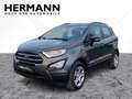 Ford EcoSport 1.0 EcoBoost Cool & Connect LED*SHZ*AUT Grau - thumbnail 1