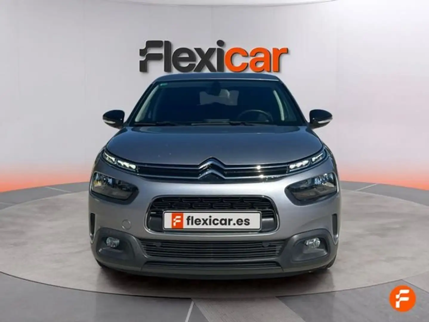 Citroen C4 Cactus BlueHDi 100 S&S Feel Gris - 2