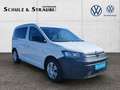 Volkswagen Caddy 2.0 TDI 4Motion  5 Sitze Klimaautomatik,Lane Assi Weiß - thumbnail 8
