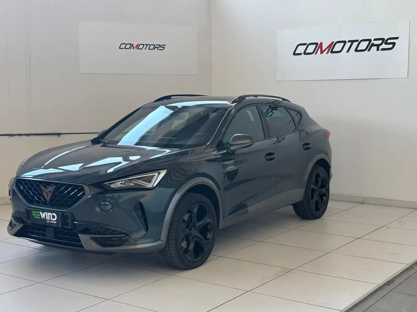 CUPRA Formentor 2.0 TSI 4Drive DSG Verde - 1