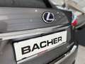 Lexus RX 450h AWD 3,5l V6 LEDER, Erstbesitz Grau - thumbnail 34