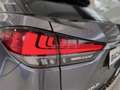 Lexus RX 450h AWD 3,5l V6 LEDER, Erstbesitz Grau - thumbnail 35