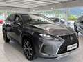 Lexus RX 450h AWD 3,5l V6 LEDER, Erstbesitz Grau - thumbnail 8