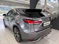 Lexus RX 450h AWD 3,5l V6 LEDER, Erstbesitz Grau - thumbnail 4