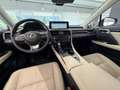 Lexus RX 450h AWD 3,5l V6 LEDER, Erstbesitz Grau - thumbnail 15