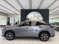 Lexus RX 450h AWD 3,5l V6 LEDER, Erstbesitz Grau - thumbnail 3