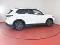 Volkswagen Tiguan Life 1.5eTSI DSG 338,-ohne Anzahlung Navi AHK Kam Weiß - thumbnail 29