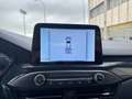 Ford Focus 1.0 Ecoboost 92kW ST-Line Gris - thumbnail 14