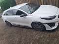 Kia ProCeed / pro_cee'd Bastuck - 19 Zoll - Garantie Weiß - thumbnail 8