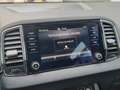 Skoda Karoq 1.5 TSI AUTOMAAT Business Edition TREKHAAK ECC Negro - thumbnail 20