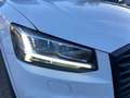 Audi Q2 35 2.0 tdi Identity Black quattro 150cv s-tronic Weiß - thumbnail 7