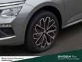 Skoda Kamiq Tour TSI DSG Infotainment-Paket Ausstattungs-Paket Grijs - thumbnail 11