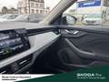 Skoda Kamiq Tour TSI DSG Infotainment-Paket Ausstattungs-Paket Grijs - thumbnail 22