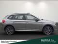 Skoda Kamiq Tour TSI DSG Infotainment-Paket Ausstattungs-Paket Grigio - thumbnail 3